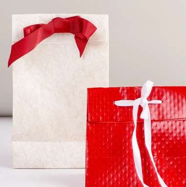 Premium Paper Bags