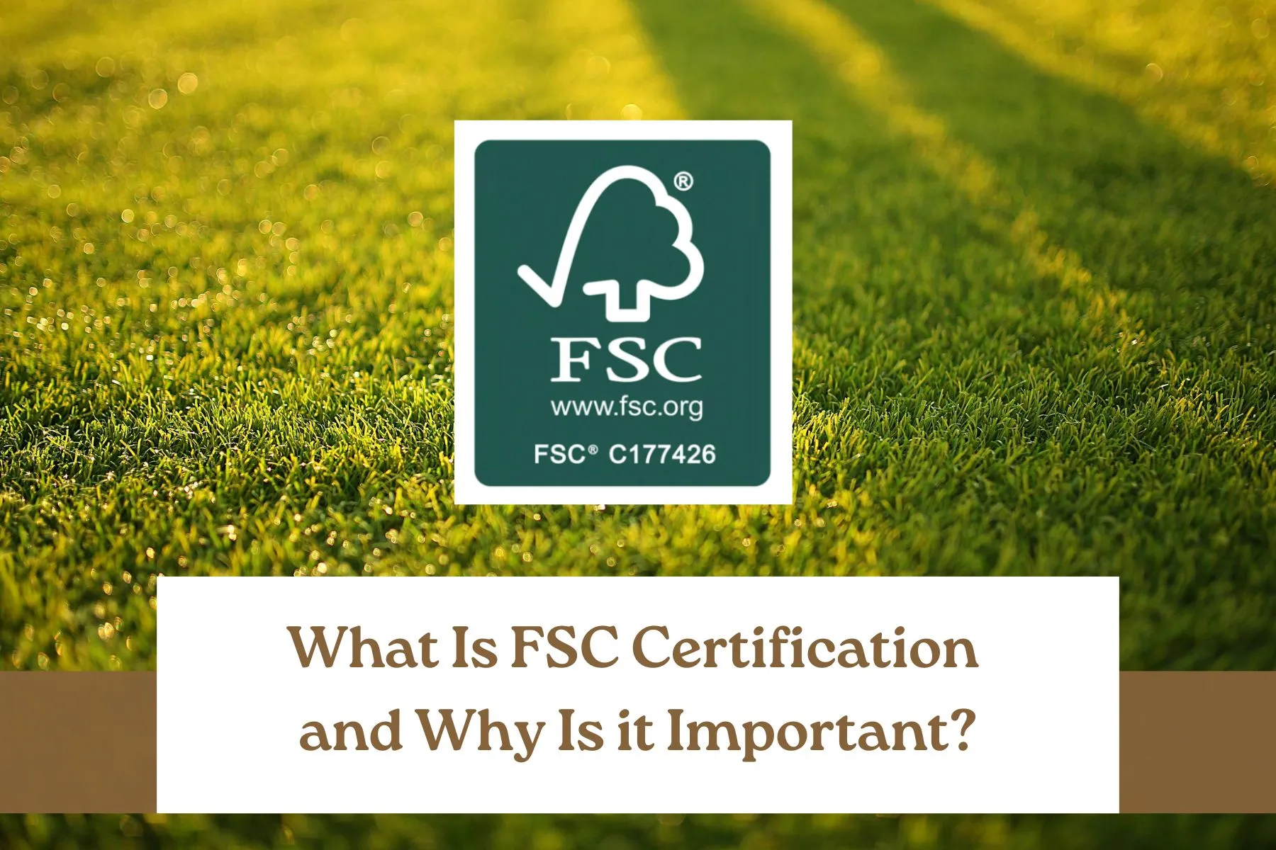 What Is FSC Certification and Why Is it Important?