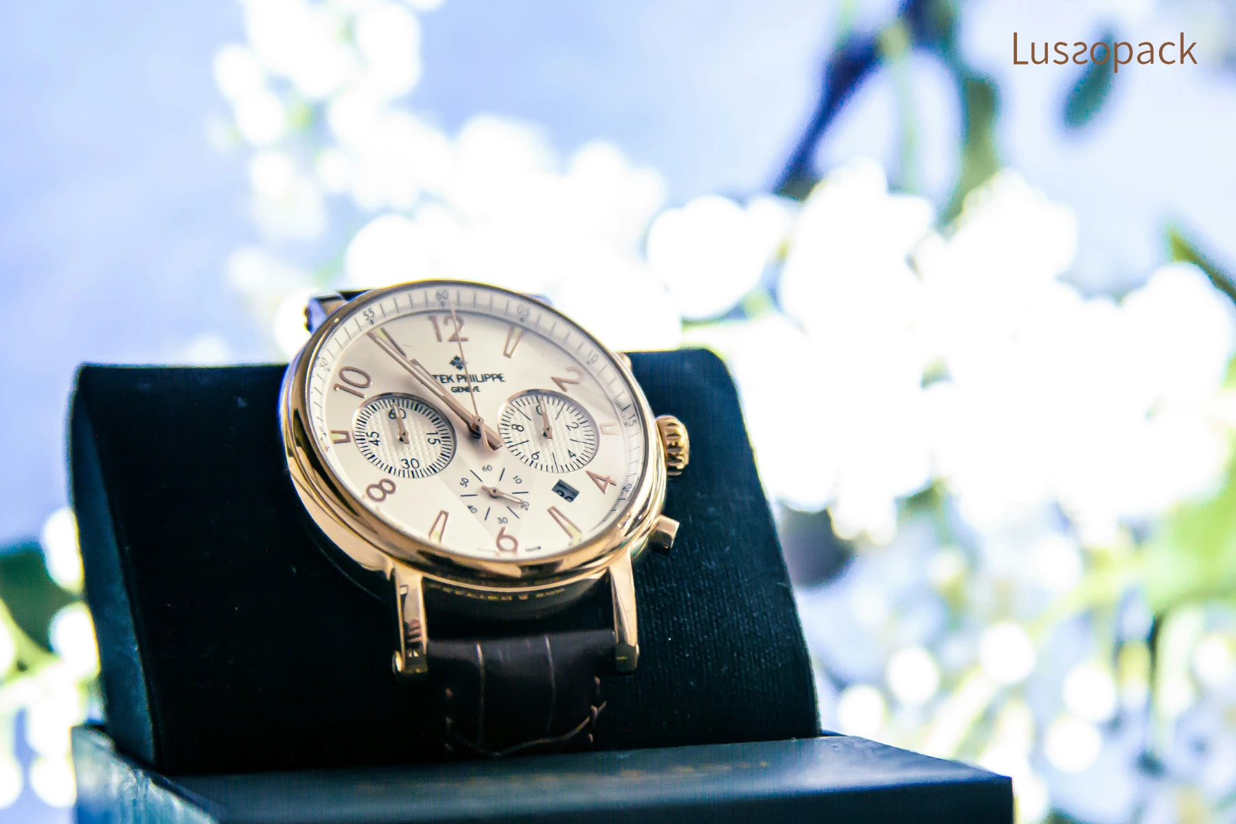 /images/packagingBlogUpdate/luxuryWatchBoxBrands/luxuryWatchBoxBrands03.webp