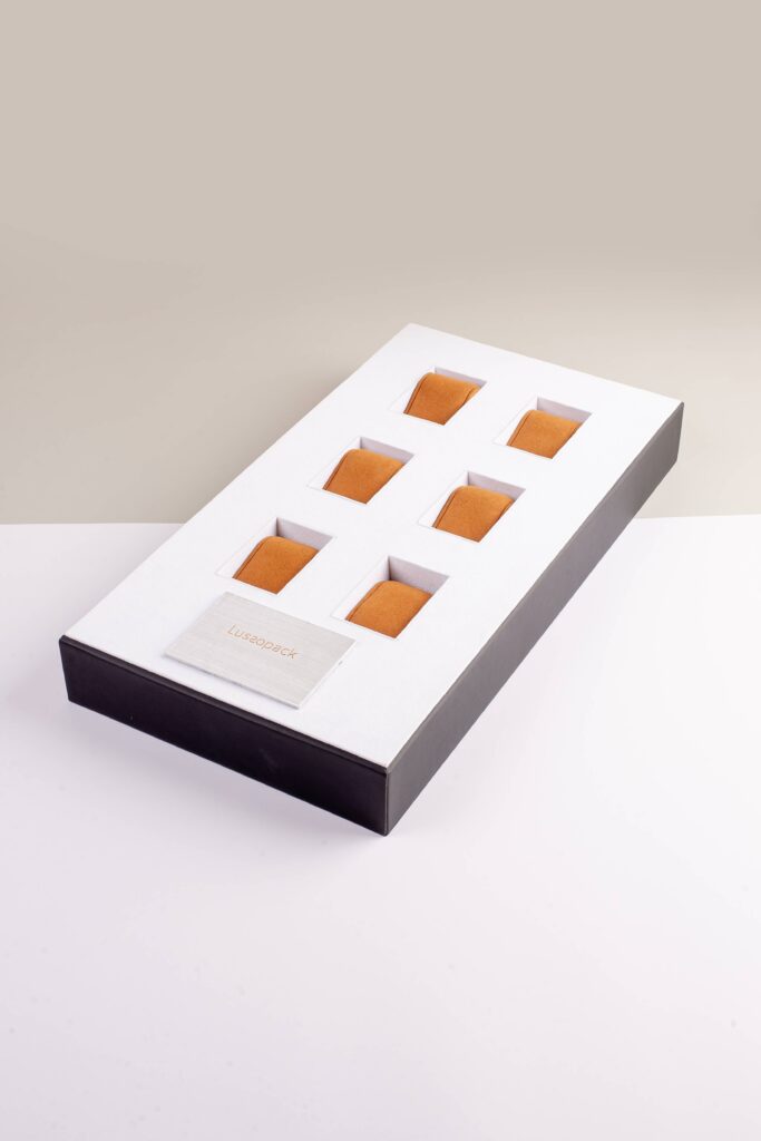 Isotta Watch Display