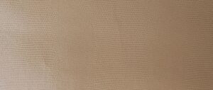 PL 9148 Beige