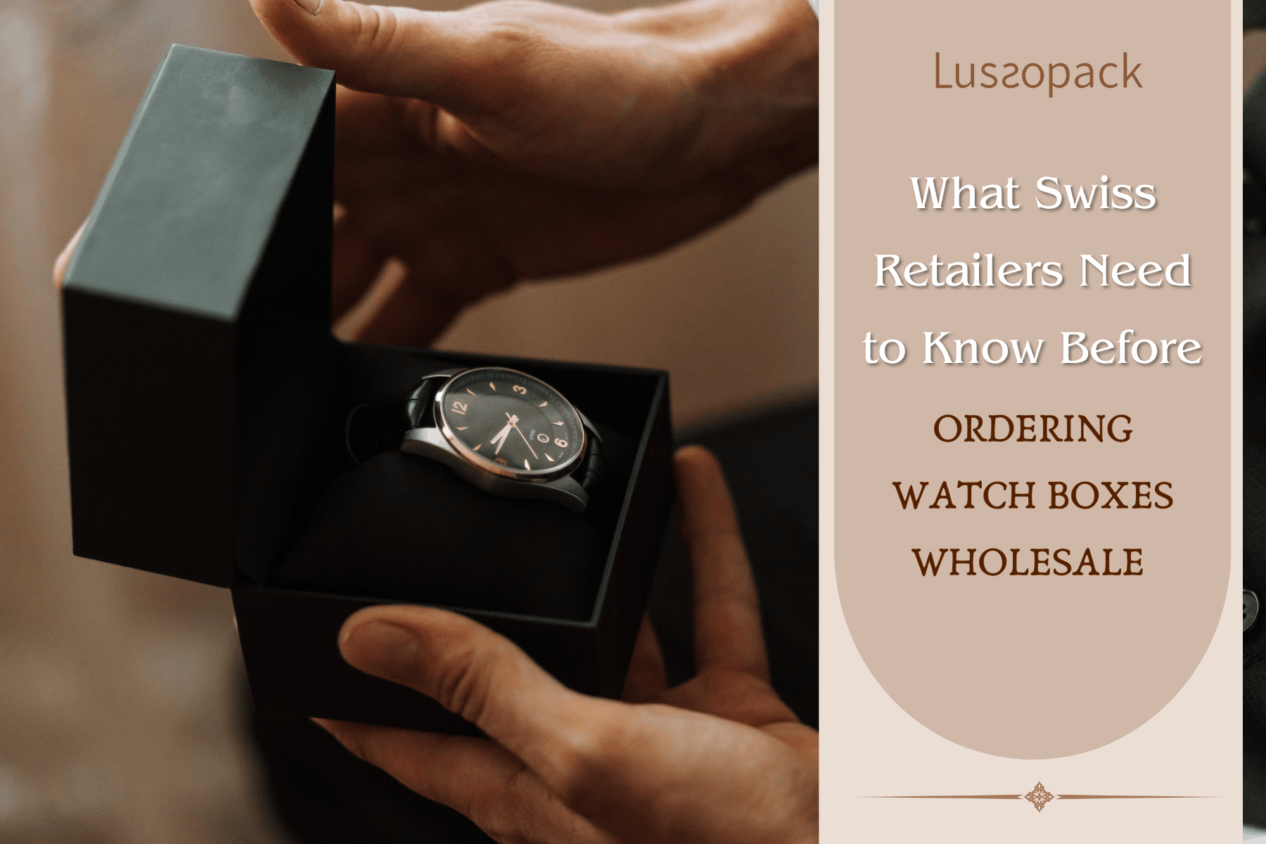 Ordering Watch Boxes Wholesale in Switzerland